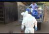Darán sepultura a 20 cuerpos no reclamados en la morgue capitalina