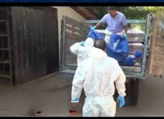 Darán sepultura a 20 cuerpos no reclamados en la morgue capitalina