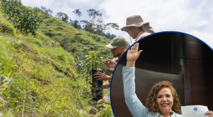 Congreso Nacional aprueba moción para proteger tierras productivas y asegurar el abastecimiento de alimentos