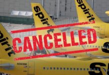 ¡Colapso aéreo! Spirit Airlines quiebra y cancela todos sus vuelos, dejando miles de pasajeros varados