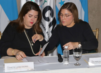 Cossette López confirma licencia de un año en el CNE junto a Ana Paola Hall