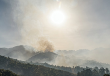 CNA exige penas más severas y acciones efectivas para frenar incendios forestales en Honduras
