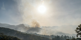 CNA exige penas más severas y acciones efectivas para frenar incendios forestales en Honduras