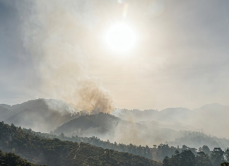 CNA exige penas más severas y acciones efectivas para frenar incendios forestales en Honduras