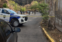 OV-UNAH reporta 99 mujeres asesinadas en Honduras en lo que va de 2026