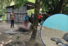 Nueva masacre: asesinan a 14 personas en finca de palma africana en Trujillo, Colón