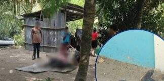 Posible disputa de tierras habría provocado masacre en finca de palma africana en Trujillo, Colón