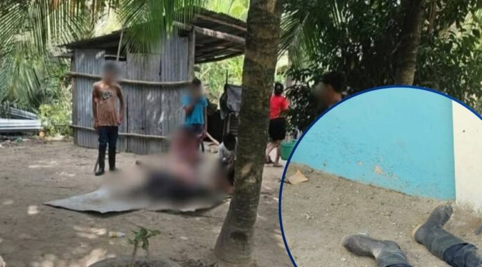 Nueva masacre: asesinan a 14 personas en finca de palma africana en Trujillo, Colón