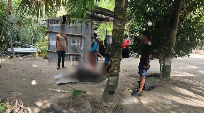Nueva masacre: más de 11 personas asesinadas en finca de palma africana en Trujillo, Colón