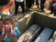 Entre dolor y lágrimas sepultan a víctimas de la masacre que enluta a Rigores