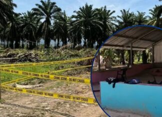 Luto e impotencia: identifican a 19 de las 20 víctimas de la masacre en Rigores
