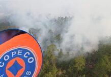 Investigan posible crimen ambiental tras incendios en La Tigra