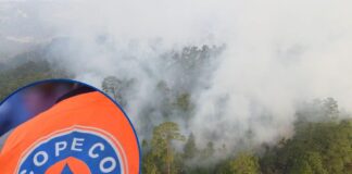 Investigan posible crimen ambiental tras incendios en La Tigra