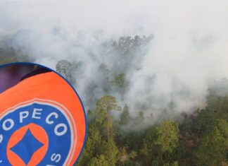 Investigan posible crimen ambiental tras incendios en La Tigra