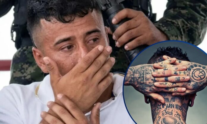 ¡Tiene-clavo-Empleado-del-RNP-sigue-preso-porque-inscribio-a-un-pandillero-como-muerto