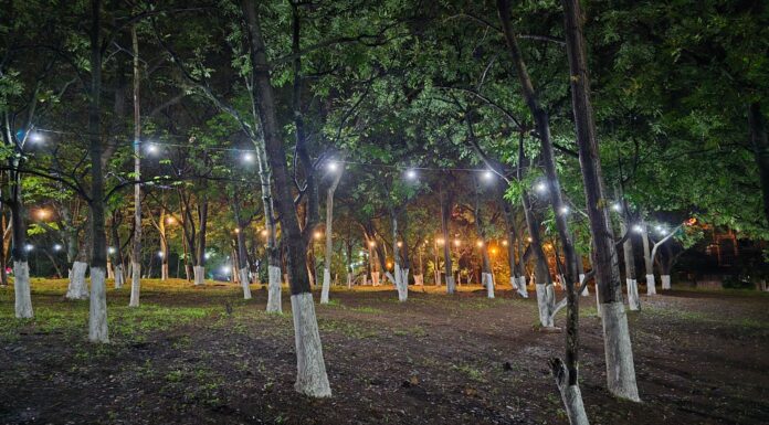 Más limpio, iluminado y seguro: así luce ahora el Cerrito de la Felicidad en la colonia Kennedy