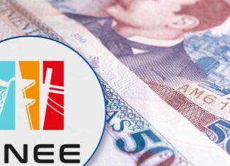 La ENEE pierde L41 millones diarios y urgen una reforma para evitar su colapso