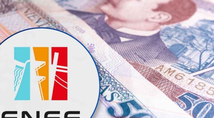 La ENEE pierde L41 millones diarios y urgen una reforma para evitar su colapso