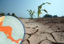 Alertan por intensificación de El Niño en Centroamérica: advierten sequías, crisis agrícola y escasez de agua