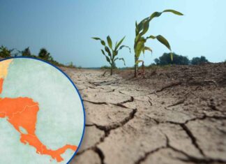 Alertan por intensificación de El Niño en Centroamérica: advierten sequías, crisis agrícola y escasez de agua