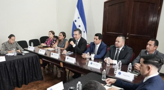 Congreso impulsa coordinación entre instituciones para fortalecer control ambiental en la actividad minera