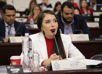 Diputada Iroshka Elvir rechaza licencias a consejeras del CNE y exige que renuncien si buscan cargos en un nuevo gobierno