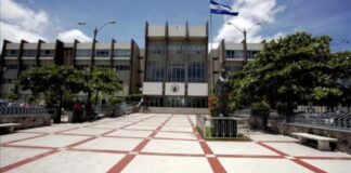Organizaciones presentan hábeas corpus para proteger 217 territorios ante polémica ley agroindustrial