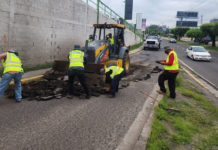 AMDC traslada temporalmente jornadas de bacheo al horario diurno por lluvias nocturnas