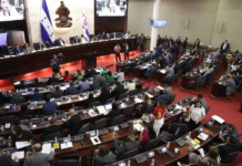 Congreso Nacional aprueba en primer debate reformas al subsector eléctrico para reestructurar la ENEE