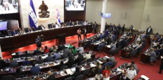 Congreso Nacional aprueba en primer debate reformas al subsector eléctrico para reestructurar la ENEE
