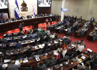 Congreso Nacional aprueba en primer debate reformas al subsector eléctrico para reestructurar la ENEE