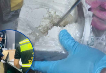 Autoridades decomisan supuesta cocaína oculta en encomiendas de lácteos con destino a Estados Unidos