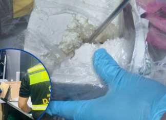 Autoridades decomisan supuesta cocaína oculta en encomiendas de lácteos con destino a Estados Unidos