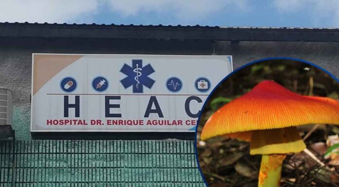 Al menos 10 personas resultan intoxicadas tras consumir “choro” en Intibucá