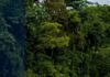 Crecida del río Pataste deja incomunicadas varias comunidades en Río Tinto, Olancho