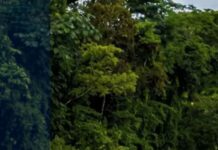 Crecida del río Pataste deja incomunicadas varias comunidades en Río Tinto, Olancho