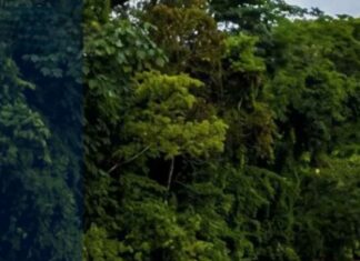 Crecida del río Pataste deja incomunicadas varias comunidades en Río Tinto, Olancho