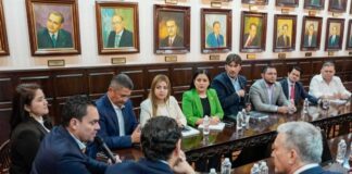 Presidente del Congreso Nacional impulsa acciones para atender la crisis energética en la zona sur
