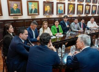 Presidente del Congreso Nacional impulsa acciones para atender la crisis energética en la zona sur