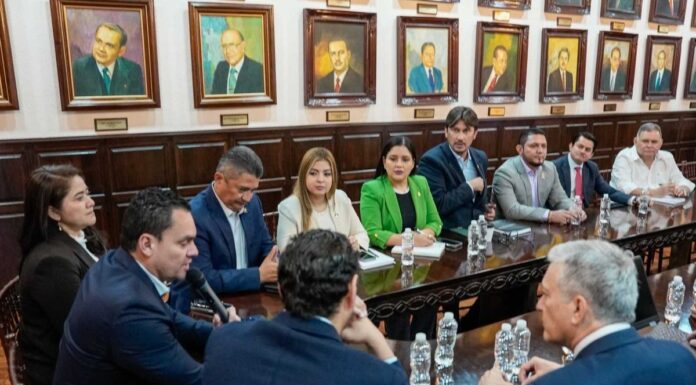 Presidente del Congreso Nacional impulsa acciones para atender la crisis energética en la zona sur