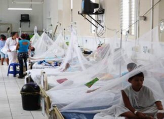 Cortés en alerta sanitaria: reportan 395 casos de dengue y refuerzan medidas de prevención