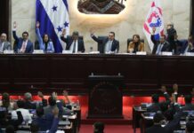 Congreso Nacional impulsa mecanismo intersectorial para fortalecer implementación de Ley contra el Abuso Sexual Infantil