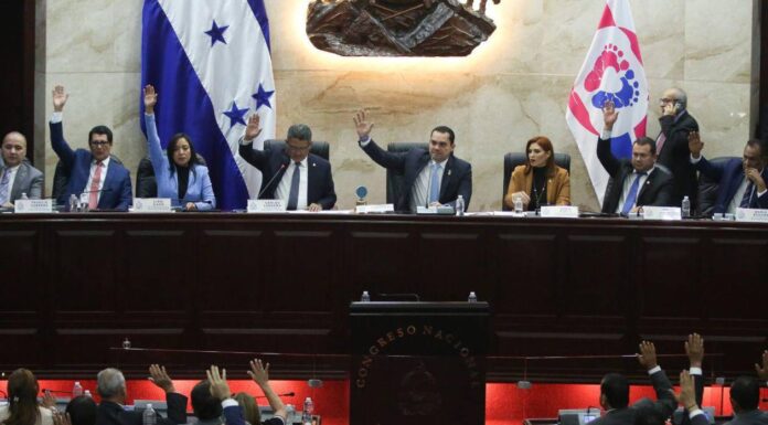 Congreso Nacional impulsa mecanismo intersectorial para fortalecer implementación de Ley contra el Abuso Sexual Infantil