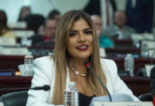 Diputada Saraí Espinal cuestiona si los apagones buscan presionar la aprobación de la reforma energética