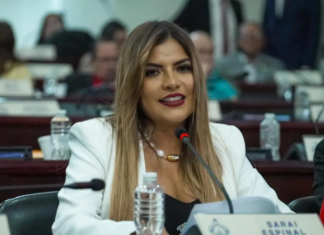 Diputada Saraí Espinal cuestiona si los apagones buscan presionar la aprobación de la reforma energética