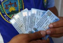 ¡Atención conductores! DNVT reanuda impresión de licencias tras recibir nuevo material