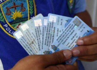 ¡Atención conductores! DNVT reanuda impresión de licencias tras recibir nuevo material