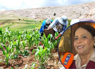 «No soy corrupta»: exministra de la SAG, Laura Suazo, rechaza acusaciones por manejo del Bono Tecnológico