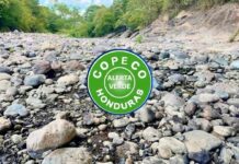 Sequía se agrava: COPECO amplía la Alerta Verde a seis municipios más en Honduras