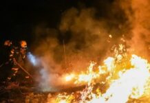 Incendios arrasan más de 20.000 hectáreas en el Tolima, Colombia